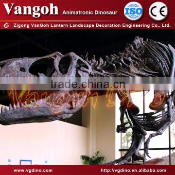 VGS151-Trex dinosaur skeleton