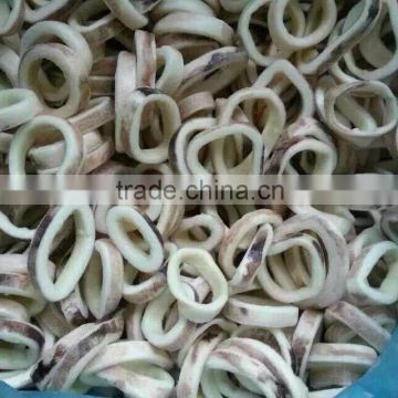High quality Frozen Illex Squid Ring for sale