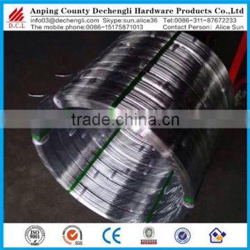 Anping factory hot dipped galvanized oval steel wire for Paraguay