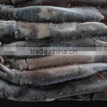 salted squid for sale