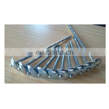 Hot ! nails manufacturer Gi roofing nails BWG9X2.5" 50 kgs made in China price