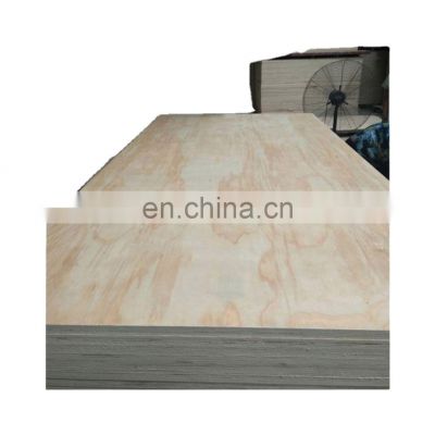 Good quality Custom size indoor decoration plywood for door making