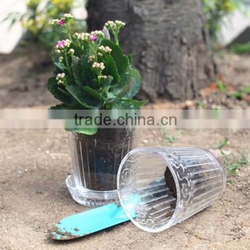 natural transparent decorative indoor flower pots with tray