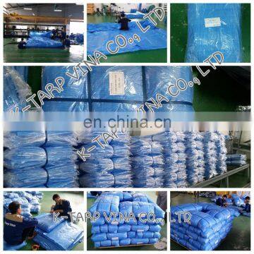 980gr Blue Tarpaulin Sheet, Japan Quality, Korea Standard, Made In Vietnam