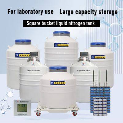 Cambodia liquid nitrogen container for cell storage KGSQ dewar tank for liquid nitrogen