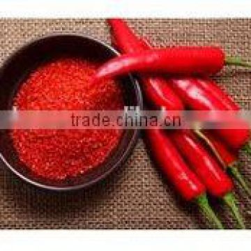Chinese Hot Red Chilli Powder