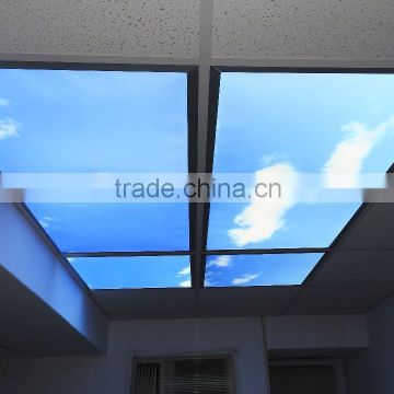 MICROSTONE modern design customized colorful SKY led ceiling light