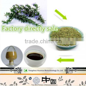China's alibaba carnosic acid rosemary oleoresin extract