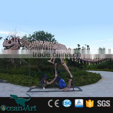 OA-DY-201662403 1:1 Replica fiberglass dinosaur skeleton