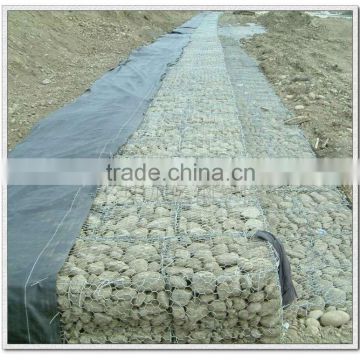 PVC Coated Welded Mesh Type gabion basket for Control water
