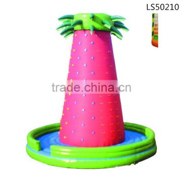 Hot New Inflatable Rock Climbing for Kids