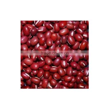 Vietnam small red bean for sale