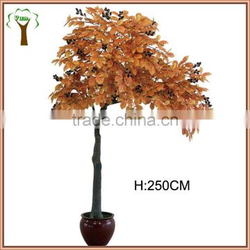 big manufactured chinese chestnut fruits tree export