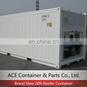 -30 Centigrade to 30 Centigrade New 20 ft Refrigerator Container for Sale