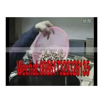 Electric Automatic Small Garlic Peeler Machine Machines For Peeling cashew