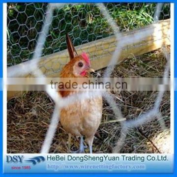 Hot Sale!Anping galvanized hexagonal wire mesh/ chicken wire / PVC coated chicken fence
