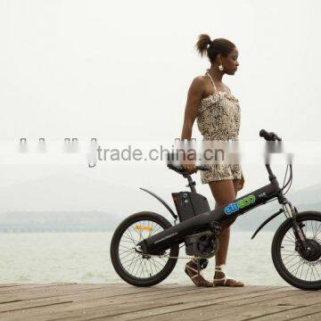 Electric bicycle in Singapore