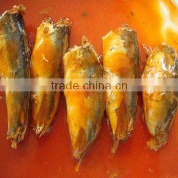 reliance fresh mackerel in tomato sauce wholesale canned food