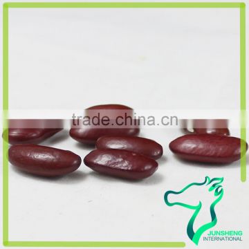 Dark Red Kidney Beans From Junsheng International