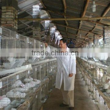 Hot Selling Commerial Rabbit Cage