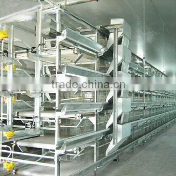 automatic poultry trolley feeder in chicken house