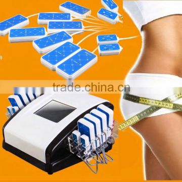 Quick slim!LED 650NM Lipo Laser for Weight Loss Slimming Alibaba Express Italy