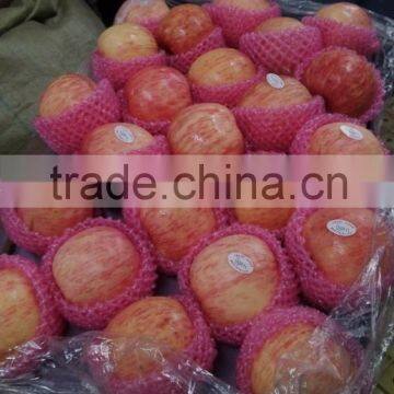 Chinese fresh paper bagged red fuji apples