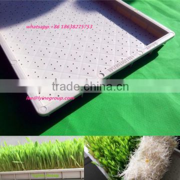 Buy Food Grade Plastic Seedling Trays
