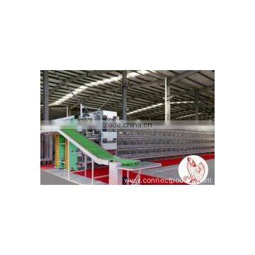 poultry farm construction Layer cage system