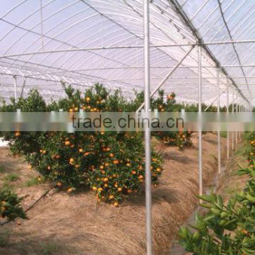 Single span PE film Greenhouse film for Orange growing