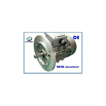 MS  aluminum body induction motor  380v 50hz/60HZ