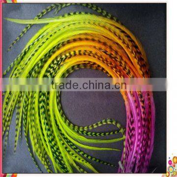 2014 New Arrival hot selling hair feathers