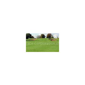 6300Dtex Field Green Golf Playground Yarn 10mm,Gauge 1/5 Golf Artificial Grass