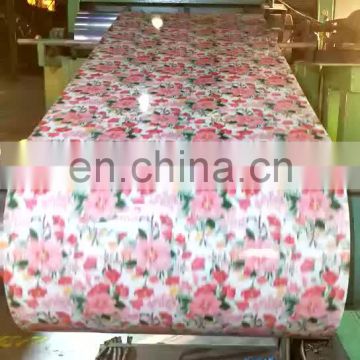 High Demand Design Material Metal Products Flower Coated Ppgi from shandong