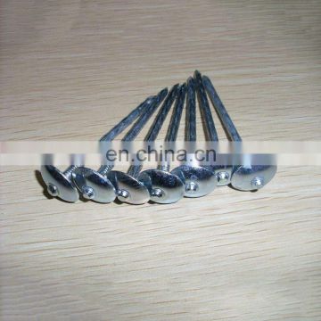 China cheap roofing nails with galvanized zinc corrugated steel roofing sheets
