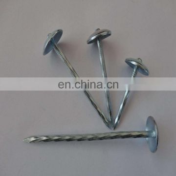 Factory China Good Quality Hot Dipped Electro Galvanized Bwg9-bwg12 Corrugated Roofing Nails