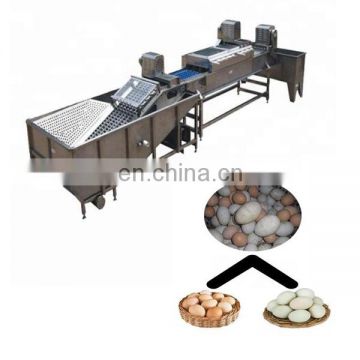 Customizable SUS 304 Egg Grading and Cleaning Machines