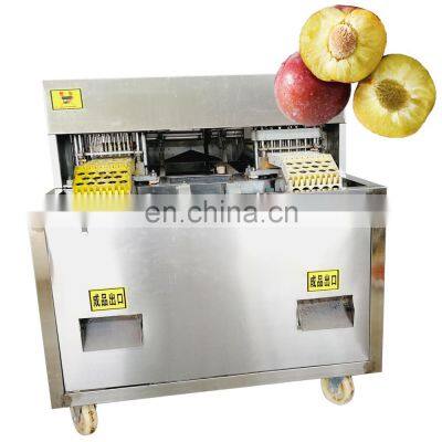 Fruit Pitting Machine Apple Kiwi Plum Peeling Machine Full Automatic High Efficiency Motor Stainless Steel Top Level WSLZQH-190