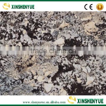 Hot Sale Natural Polished Granite Tiles 40x40