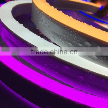 2016 waterproof IP68 Flexible SMD RGB LED neon Herz licht