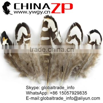 ZPDECOR Wholesale Size from 6cm to 10cm Tiny Black and White Reeves Venery Pheasant Plumage feathers