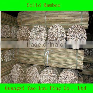 Tonkin Cane Bamboo/Bamboo Cane/Bamboo Pole Manufacture