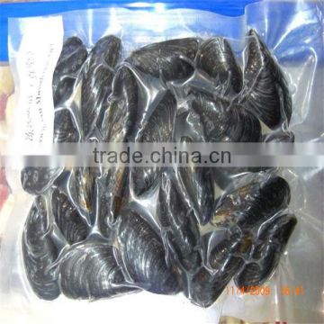 frozen cooked best and delicious large mussels