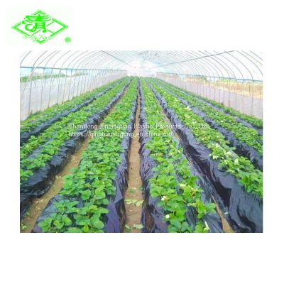 High quality agricultural plastic mulching film roll for potatoes