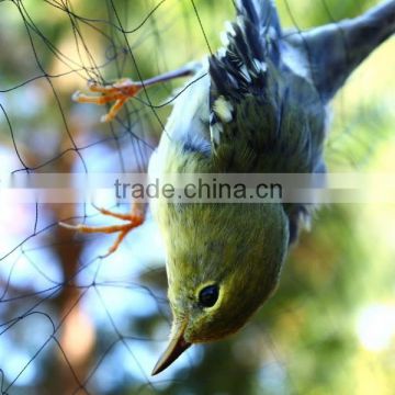 Bird Mist net trap