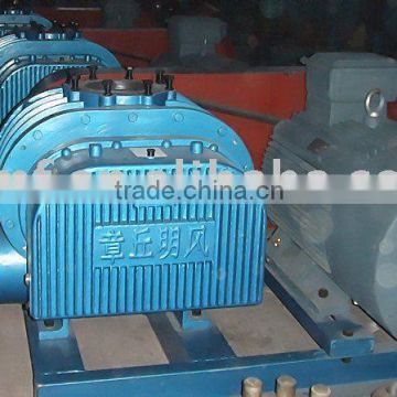 High-pressure roots blower