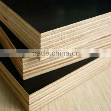 Quality Black construction plywood 18mm