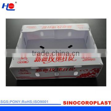 OEM Printed Collapsible Plastic Fruit Crate