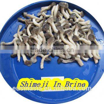 water boiled mushroom shimeji mushroom oyster mushroom