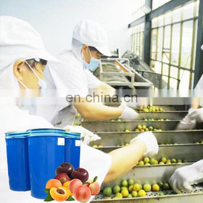 Industrial line fruit and vegetable pulp processing machine